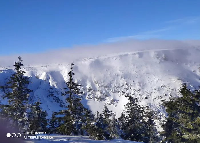 公寓 Forest 卡尔帕奇